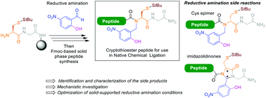 Graphical abstract: An optimized protocol for the synthesis of N-2-hydroxybenzyl-cysteine peptide crypto-thioesters