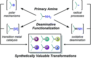 Graphical abstract: Reframing primary alkyl amines as aliphatic building blocks