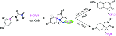 Graphical abstract: Synthesis of difluoroalkylated 2-azaspiro[4.5]decane derivatives via copper-catalyzed difluoroalkylation/dearomatization of N-benzylacrylamides