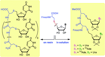 Graphical abstract: Synthesis and oligomerization of cysteinyl nucleosides