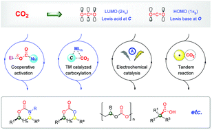 Graphical abstract: Catalytic enantioselective synthesis using carbon dioxide as a C1 synthon
