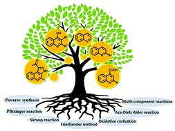 Graphical abstract: Recent advances and prospects in the metal-free synthesis of quinolines