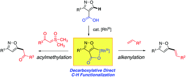 Graphical abstract: Rhodium(iii)-catalysed decarboxylative C–H functionalization of isoxazoles with alkenes and sulfoxonium ylides
