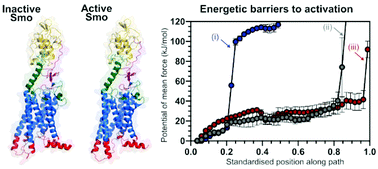 Graphical abstract: Activation barriers in Class F G protein-coupled receptors revealed by umbrella sampling simulations