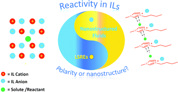 Graphical abstract: Ionic liquids: “normal” solvents or nanostructured fluids?