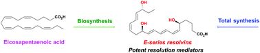 Graphical abstract: Stereoselective syntheses and biological activities of E-series resolvins