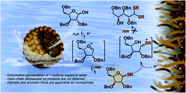 Graphical abstract: Surfactant-mediated thioglycosylation of 1-hydroxy sugars in water