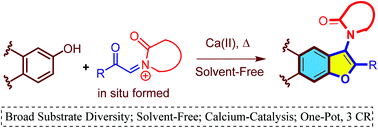 Graphical abstract: Calcium-catalyzed formal [3 + 2] annulation of C,N-diacyliminium ions with nucleophilic phenols: a diversity oriented synthesis of 3-aminofurans