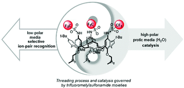 Graphical abstract: Calix[6]arene-based Brønsted acids for molecular recognition and catalysis