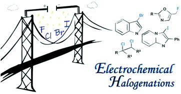 Graphical abstract: Electrohalogenation of organic compounds
