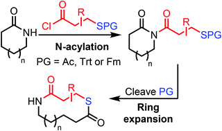 Graphical abstract: Synthesis of macrocyclic and medium-sized ring thiolactones via the ring expansion of lactams