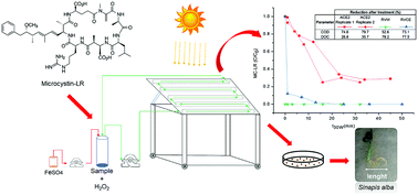 Graphical abstract: The solar photo-Fenton process at neutral pH applied to microcystin-LR degradation: Fe2+, H2O2 and reaction matrix effects