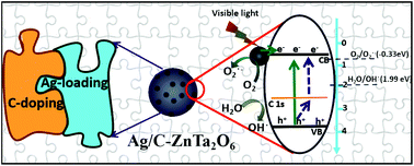 Graphical abstract: Complementary behavior of doping and loading in Ag/C-ZnTa2O6 for efficient visible-light photocatalytic redox towards broad wastewater remediation
