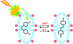 Graphical abstract: Remote electron and energy transfer sensitized photoisomerization of encapsulated stilbenes