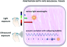 Graphical abstract: The bright side of sound: perspectives on the biomedical application of sonoluminescence