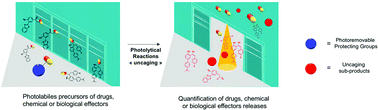 Graphical abstract: Monitoring of uncaging processes by designing photolytical reactions
