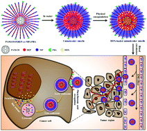 Graphical abstract: Phenylboronic acid-functionalized unimolecular micelles based on a star polyphosphoester random copolymer for tumor-targeted drug delivery