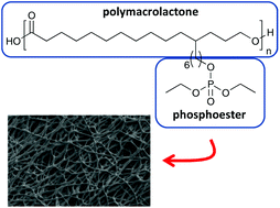 Graphical abstract: Polyesters with main and side chain phosphoesters as structural motives for biocompatible electrospun fibres