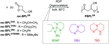 Graphical abstract: Organocatalyzed ring-opening polymerization (ROP) of functional β-lactones: new insights into the ROP mechanism and poly(hydroxyalkanoate)s (PHAs) macromolecular structure