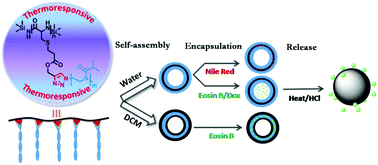Graphical abstract: Vesicular assemblies of thermoresponsive amphiphilic polypeptide copolymers for guest encapsulation and release