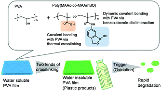 Graphical abstract: Preparation of cross-linked poly(vinyl alcohol) films from copolymers with benzoxaborole and carboxylic acid groups, and their degradability in an oxidizing environment