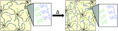 Graphical abstract: Viscoelastic and thermoreversible networks crosslinked by non-covalent interactions between “clickable” nucleic acid oligomers and DNA