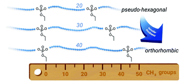 Graphical abstract: Controlling the crystal structure of precisely spaced polyethylene-like polyphosphoesters