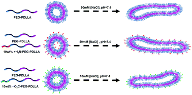 Graphical abstract: Influence of surface charge on the formulation of elongated PEG-b-PDLLA nanoparticles
