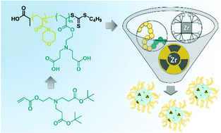 Graphical abstract: Synthesis of biscarboxylic acid functionalised EDTA mimicking polymers and their ability to form Zr(iv) chelation mediated nanostructures