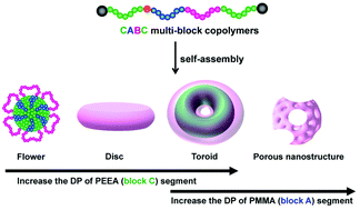 Graphical abstract: Systematic study on evolution of self-assembly morphologies of CABC tetrablock terpolymers with varied segment lengths