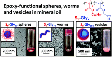 Graphical abstract: Epoxy-functional diblock copolymer spheres, worms and vesicles via polymerization-induced self-assembly in mineral oil