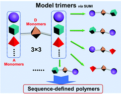 Graphical abstract: Sequential and alternating RAFT single unit monomer insertion: model trimers as the guide for discrete oligomer synthesis