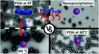 Graphical abstract: Self-assembly of amphiphilic copolymers containing polysaccharide: PISA versus nanoprecipitation, and the temperature effect