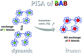 Graphical abstract: Unravelling the formation of BAB block copolymer assemblies during PISA in water