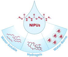 Graphical abstract: Water-based non-isocyanate polyurethane-ureas (NIPUUs)