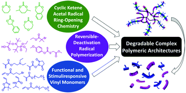 Graphical abstract: Reversible-deactivation radical polymerization of cyclic ketene acetals