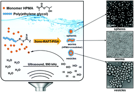Graphical abstract: Room temperature synthesis of block copolymer nano-objects with different morphologies via ultrasound initiated RAFT polymerization-induced self-assembly (sono-RAFT-PISA)