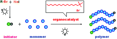 Graphical abstract: Cationic quaternary ammonium salt-catalyzed LED-induced living radical polymerization with in situ halogen exchange