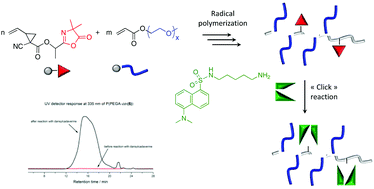 Graphical abstract: Radical ring-opening polymerization of novel azlactone-functionalized vinyl cyclopropanes