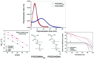 Graphical abstract: Effect of the side ethylene glycol and hydroxyl groups on the polymerization kinetics of oligo(ethylene glycol methacrylates). An experimental and modeling investigation