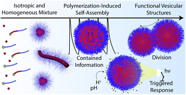 Graphical abstract: PISA: construction of self-organized and self-assembled functional vesicular structures