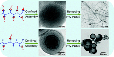 Graphical abstract: Engineering the morphology of hydrogen-bonded comb-shaped supramolecular polymers: from solution self-assembly to confined assembly