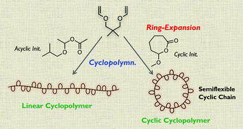 Graphical abstract: Ring-expansion cationic cyclopolymerization for the construction of cyclic cyclopolymers