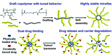 Graphical abstract: Graft copolymers with tunable amphiphilicity tailored for efficient dual drug delivery via encapsulation and pH-sensitive drug conjugation