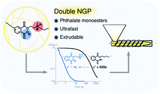 Graphical abstract: Double neighbouring group participation for ultrafast exchange in phthalate monoester networks