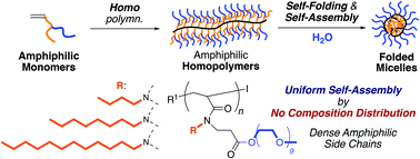 Graphical abstract: Folded amphiphilic homopolymer micelles in water: uniform self-assembly beyond amphiphilic random copolymers