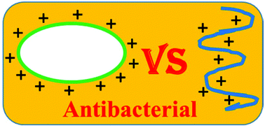 Graphical abstract: Antibacterial properties of synthesized cyclic and linear cationic copolymers