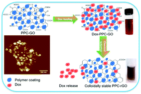 Graphical abstract: Ultra-thin patchy polymer-coated graphene oxide as a novel anticancer drug carrier
