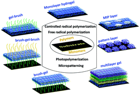 Graphical abstract: Radical polymerization as a versatile tool for surface grafting of thin hydrogel films