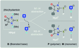 Graphical abstract: Tunable hydantoin and base binary organocatalysts in ring-opening polymerizations